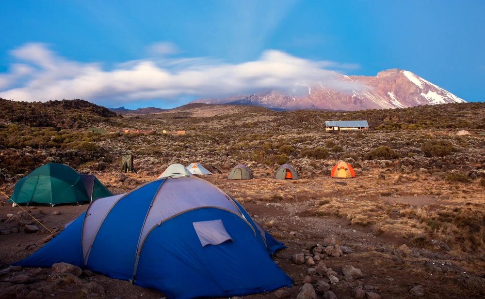 
7 Day Mount Kilimanjaro Trekking in Machame