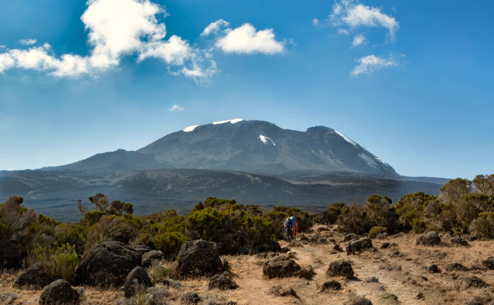 
8  Mount Kilimanjaro Lemosho Trekking Route