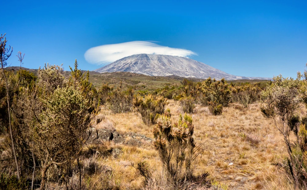 
7  Mount Kilimanjaro Rongai Route Trekking