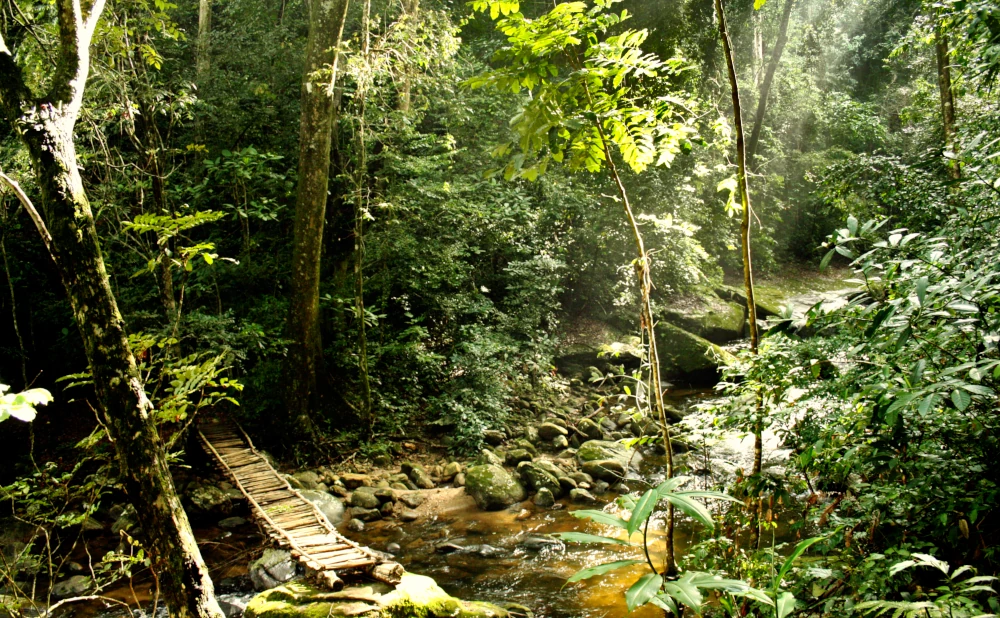 
Udzungwa Mountains National Park